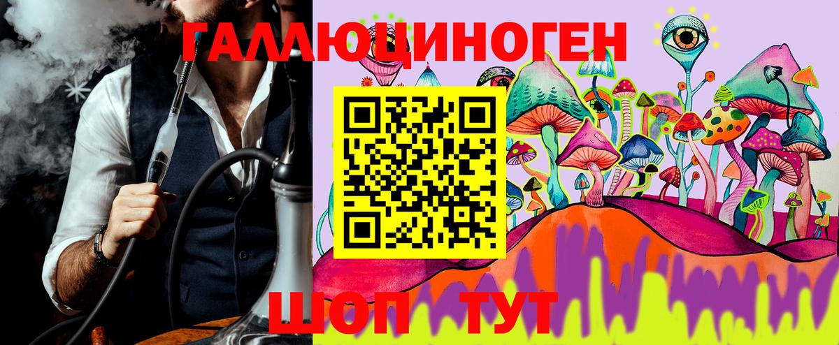 Галлюциногенные грибы MAGIC MUSHROOMS  Псилоцибиновые грибы GOLDEN TEACHER  Новокубанск  Вход с VPN 