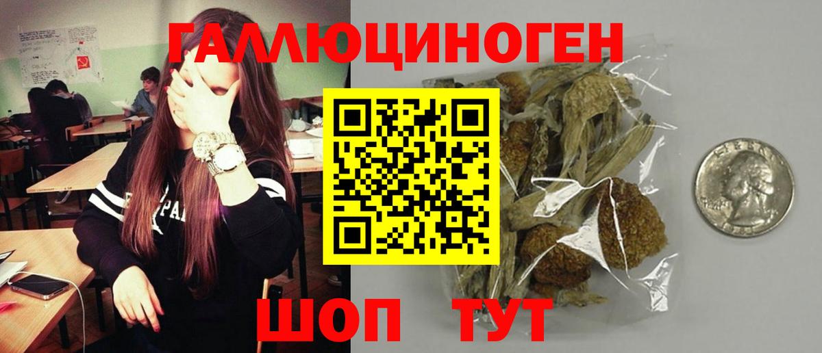 Псилоцибиновые грибы прущие грибы Новокубанск